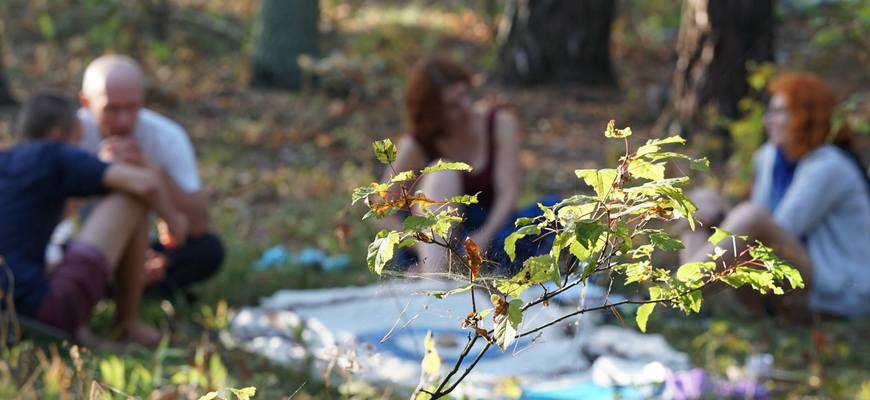 Мистерия “Возвращение личной силы” 20-27 июня 2022